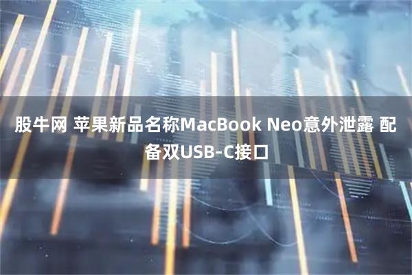 股牛网 苹果新品名称MacBook Neo意外泄露 配备双USB-C接口