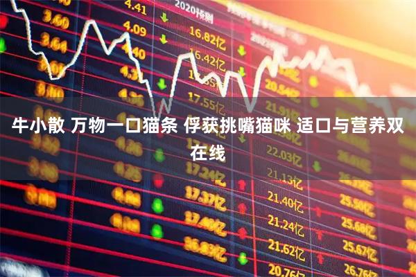 牛小散 万物一口猫条 俘获挑嘴猫咪 适口与营养双在线